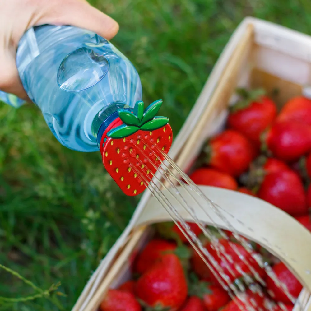 Dothat Ekonewka – a strawberry-shaped watering cap for plants on a bottle